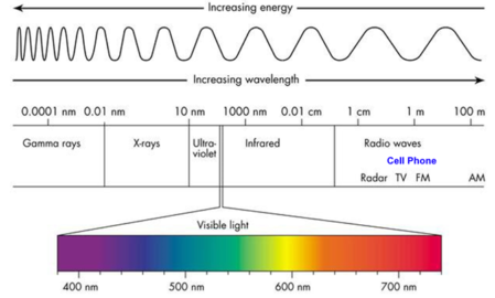 How Do Cell Phone Signal Boosters Work? - Westward Sales